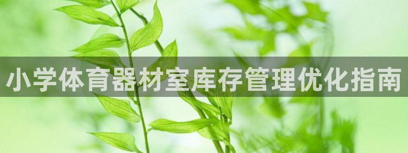极悦官方网站入口网址大全：小学体育器材室库存管理优化
