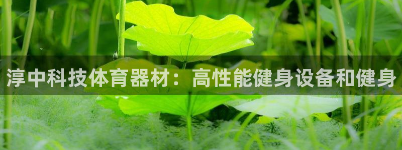 极悦平台使用教程图片：淳中科技体育器材：高性能健身设