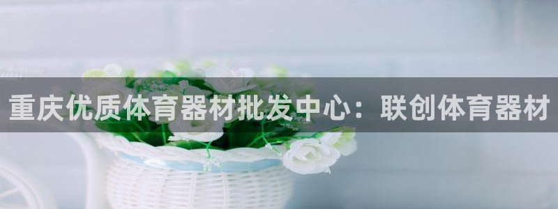 极悦娱乐官网APP下载：重庆优质体育器材批发中心：联