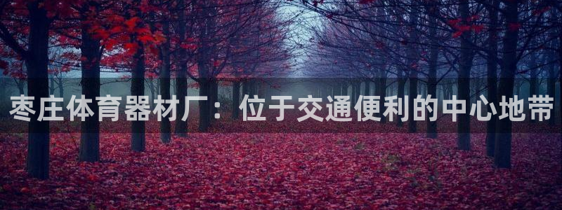 加盟极悦教育怎么样：枣庄体育器材厂：位于交通便利的中