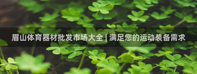 极悦平台注册用户名生成器：眉山体育器材批发市场大全 