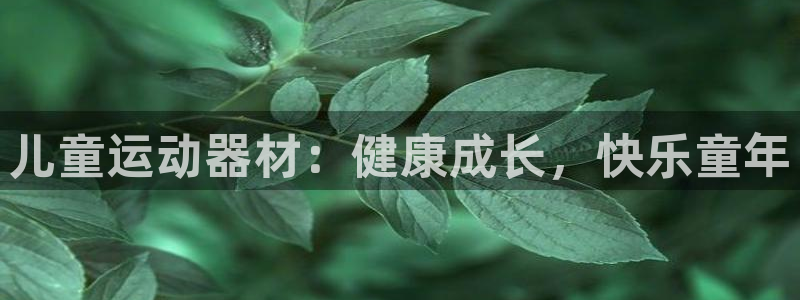 极悦平台用户评价与反馈在哪里：儿童运动器材：健康成长