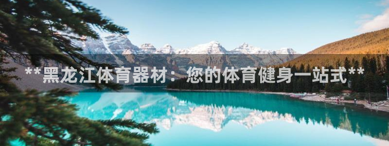 极悦平台官网登录不了怎么回事：**黑龙江体育器材：您