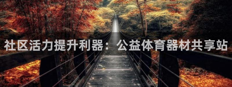极悦平台代理怎么样：社区活力提升利器：公益体育器材共