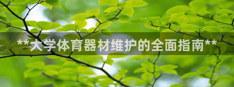 极悦牙膏怎么样：**大学体育器材维护的全面指南**