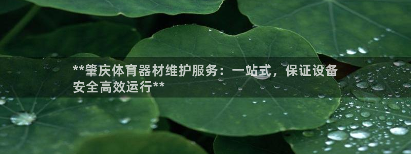 极悦官网首页登录入口网站：**肇庆体育器材维护服务：