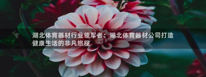 极悦娱乐现在叫什么：湖北体育器材行业领军者：湖北体育