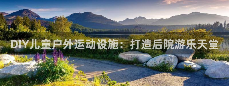 极悦平台有风险吗：DIY儿童户外运动设施：打造后院游