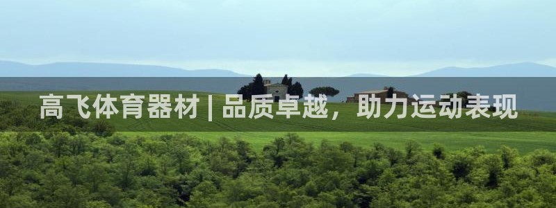 极悦平台登录7.0.2.4手机版下载安装：高飞体育器