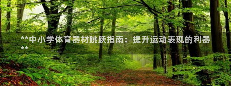 极悦平台与网易合作详情：**中小学体育器材跳跃指南：