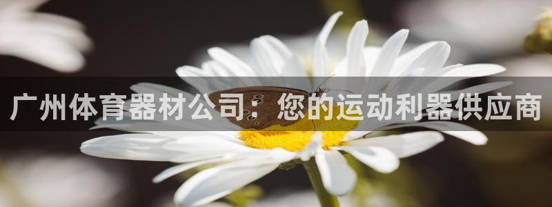 极悦娱乐公司最新招聘信息：广州体育器材公司：您的运动