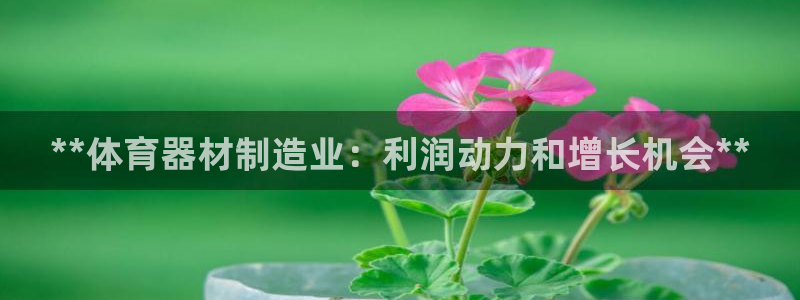 极悦娱乐公司最新招聘信息网：**体育器材制造业：利润