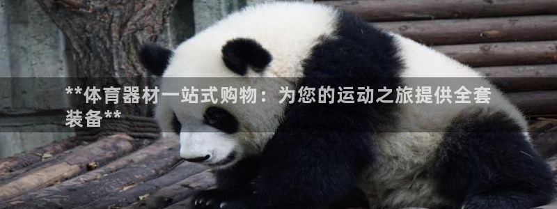 极悦娱乐的最新版本更新内容是什么：**体育器材一站式