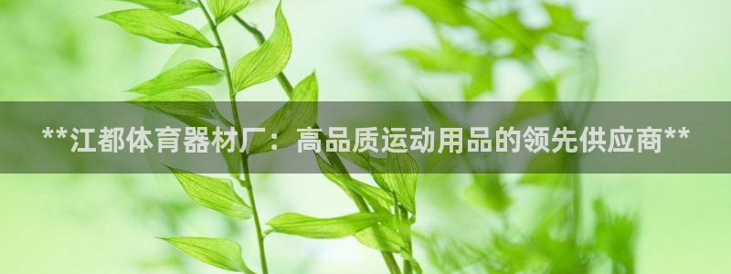 极悦官网登录：**江都体育器材厂：高品质运动用品的领