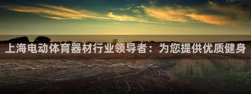 极悦平台注册官网入口：上海电动体育器材行业领导者：为