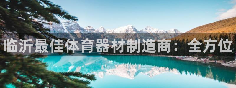 极悦平台注册流程详解图片：临沂最佳体育器材制造商：全