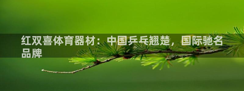 极悦生活家是什么平台：红双喜体育器材：中国乒乓翘楚，