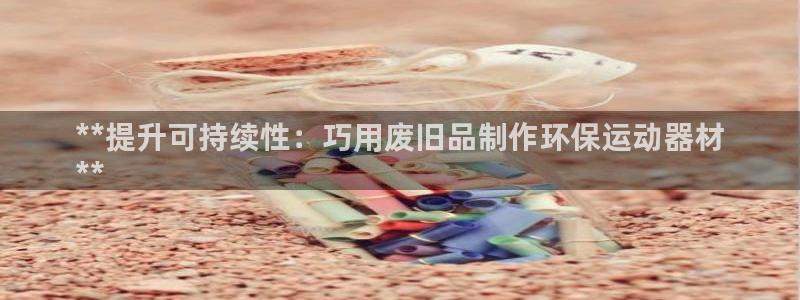 极悦平台网址皮皮虾：**提升可持续性：巧用废旧品制作