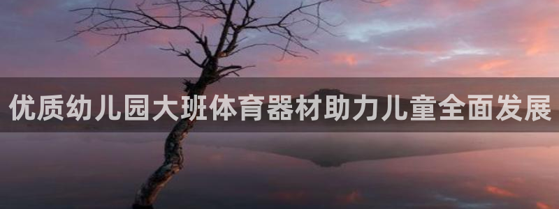 极悦平台官方网站登录不了：优质幼儿园大班体育器材助力