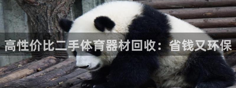 极悦平台平台登录入口：高性价比二手体育器材回收：省钱