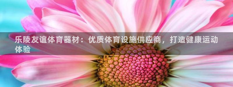 极悦娱乐官网入口下载：乐陵友谊体育器材：优质体育设施