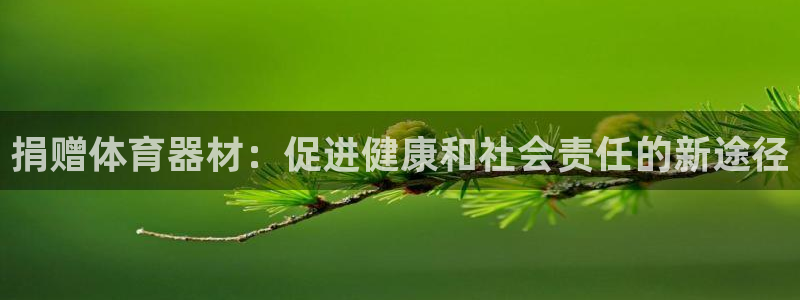 极悦平台注册的弊端及解决方法：捐赠体育器材：促进健康