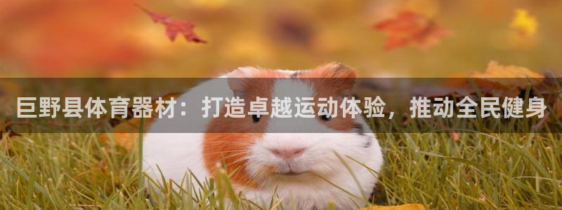 极悦平台官方网站登录：巨野县体育器材：打造卓越运动体