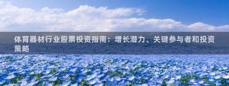 极悦平台注册官方网站下载安卓手机：体育器材行业股票投
