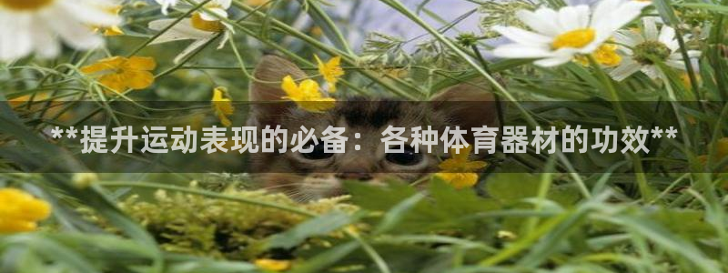 极悦娱乐方7O777：**提升运动表现的必备：各种体