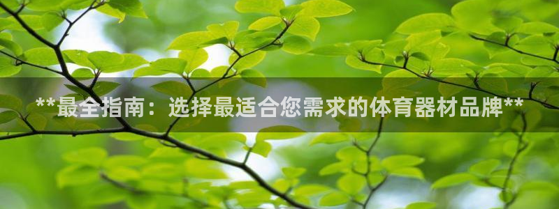 极悦平台官网登录入口：**最全指南：选择最适合您需求