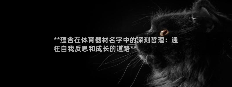 极悦平台官网登录最新版本更新内容介绍：**蕴含在体育