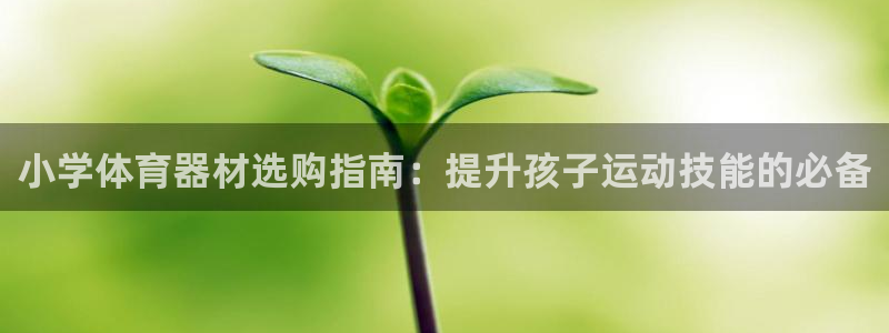 极悦平台代理怎么样可靠吗：小学体育器材选购指南：提升