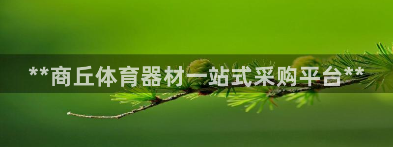 极悦娱乐负责人是谁：**商丘体育器材一站式采购平台*