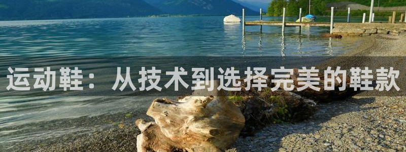 极悦平台官网登录入口网址是什么：运动鞋：从技术到选择
