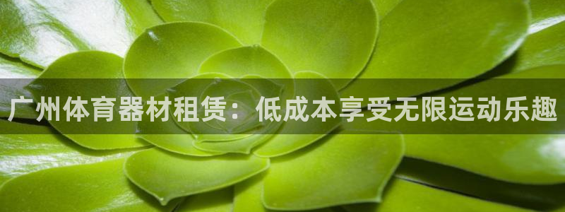 极悦平台下载安装：广州体育器材租赁：低成本享受无限运