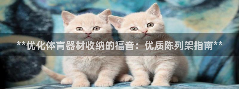 极悦平台的注册流程及注意事项有哪些：**优化体育器材