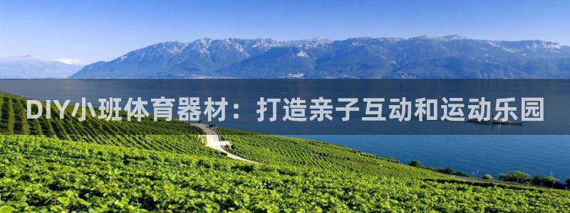 极悦平台和蓝狮平台区别在哪：DIY小班体育器材：打造