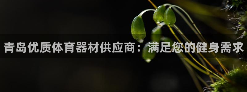 极悦平台是什么：青岛优质体育器材供应商：满足您的健身