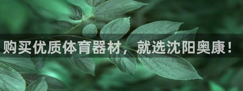 极悦平台网址皮皮虾下载：购买优质体育器材，就选沈阳奥