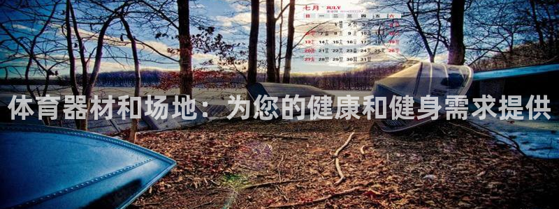 极悦平台是干嘛的：体育器材和场地：为您的健康和健身需