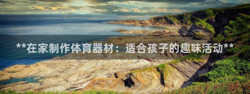 极悦平台股东：**在家制作体育器材：适合孩子的趣味活