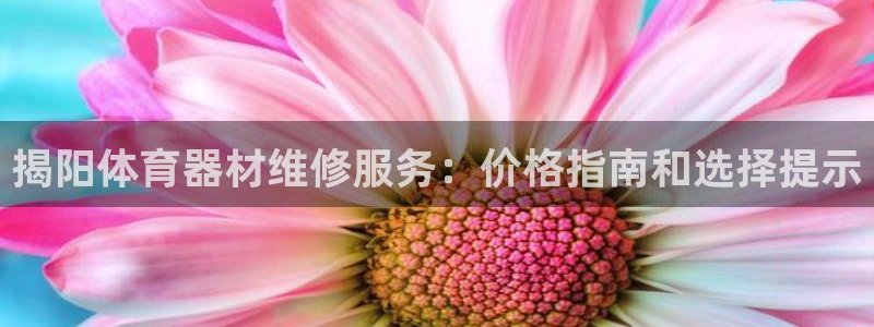 极悦娱乐官方网站入口：揭阳体育器材维修服务：价格指南