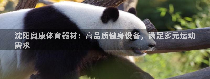 极悦娱乐官网最新版本更新内容：沈阳奥康体育器材：高品