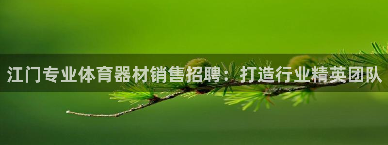 极悦平台是干什么的啊：江门专业体育器材销售招聘：打造