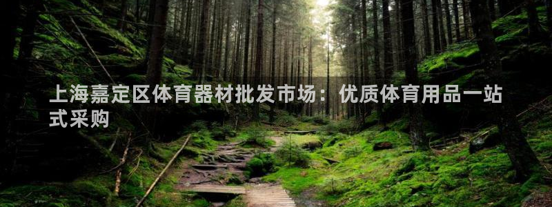 极悦官网登录：上海嘉定区体育器材批发市场：优质体育用
