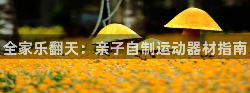 极悦平台官网登录入口网址：全家乐翻天：亲子自制运动器