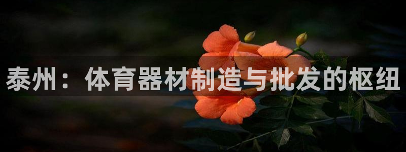 极悦平台有风险吗知乎：泰州：体育器材制造与批发的枢纽