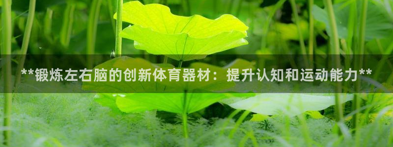 极悦平台股东名单：**锻炼左右脑的创新体育器材：提升