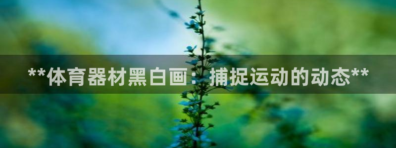 极悦娱乐官网app下载苹果版：**体育器材黑白画：捕