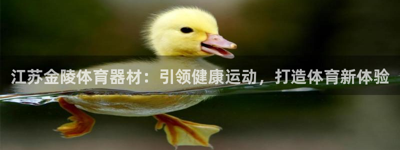 极悦平台客服团队名称：江苏金陵体育器材：引领健康运动